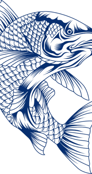 Blue illustrated fish with detailed scales.